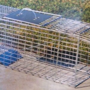 Pest Control Trap (Live Catch)