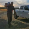 pet-food-delivery