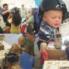 helmet-distribution